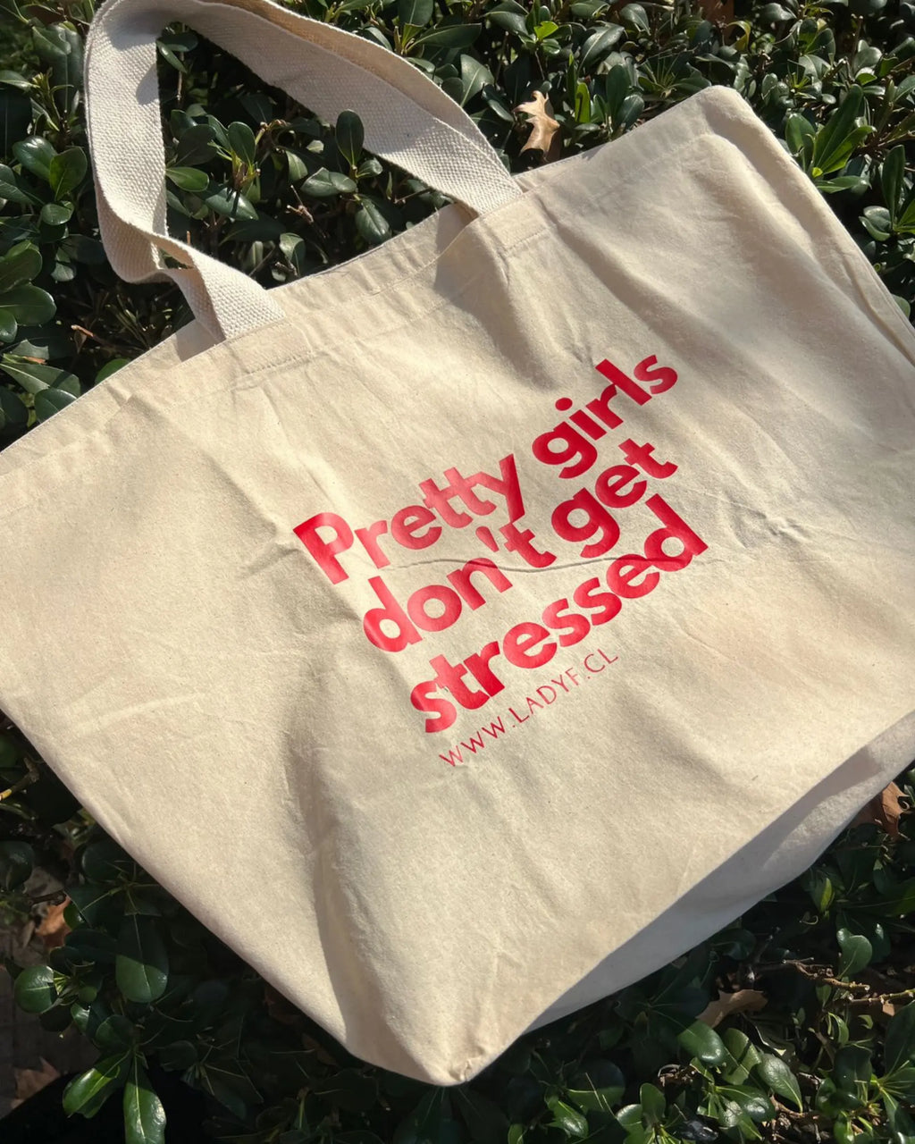 Totte Bag Lady F